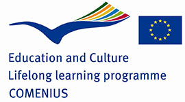 COMENIUS, Education and Culture, Longlife learning programme